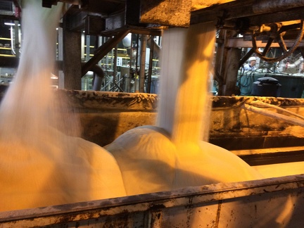 Sugar pouring into transport truck